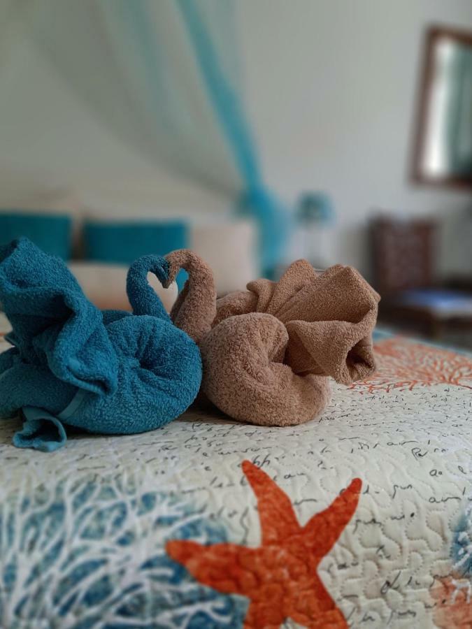 Atelier Tina Art Home دوبروفينك المظهر الخارجي الصورة